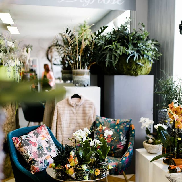 143345515_245439143691651_781806833223956213_n