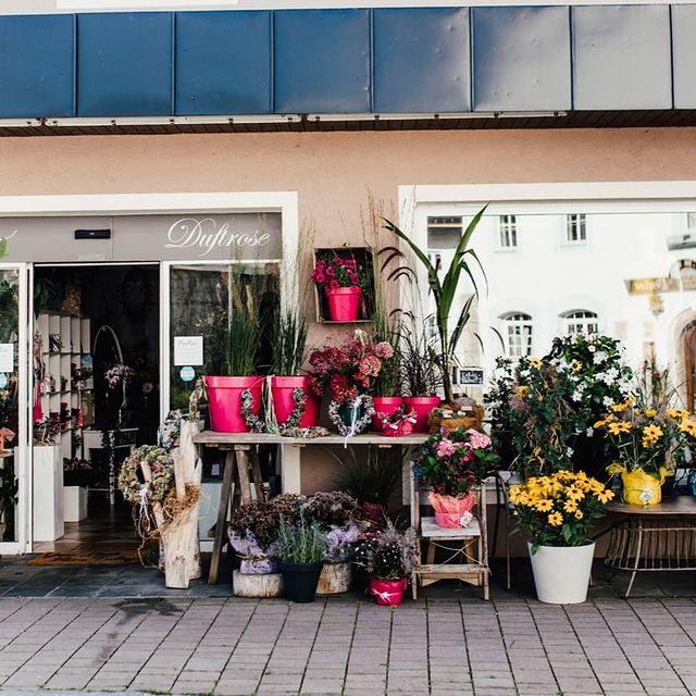 241510638_1029087104559730_2304888206031268143_n