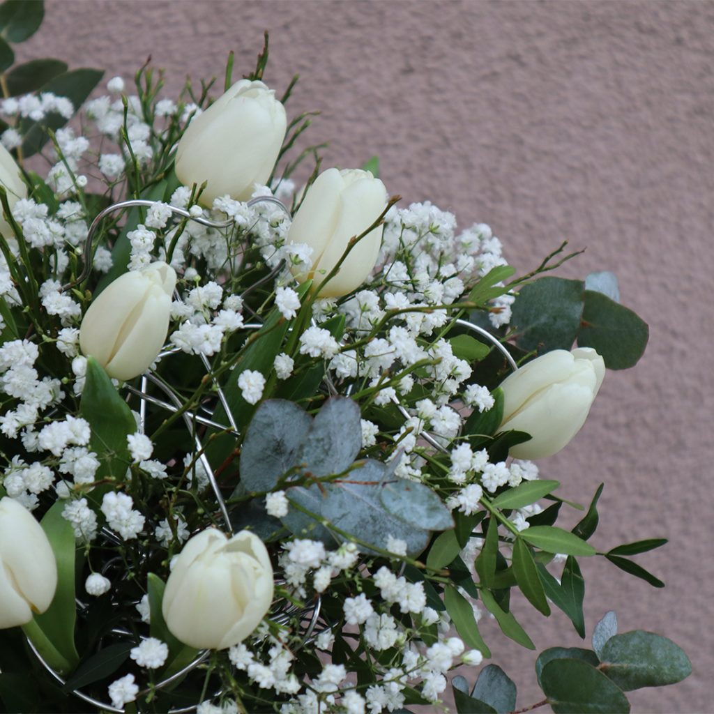 IMG_3510_klein-1024x1024