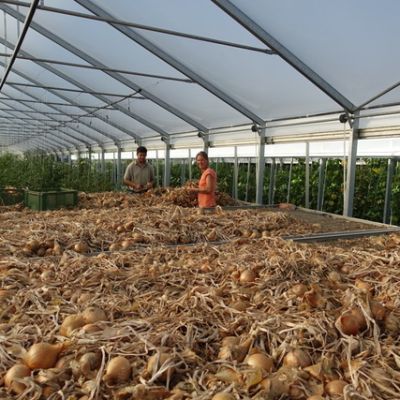 Biogemüse Klingerbauer