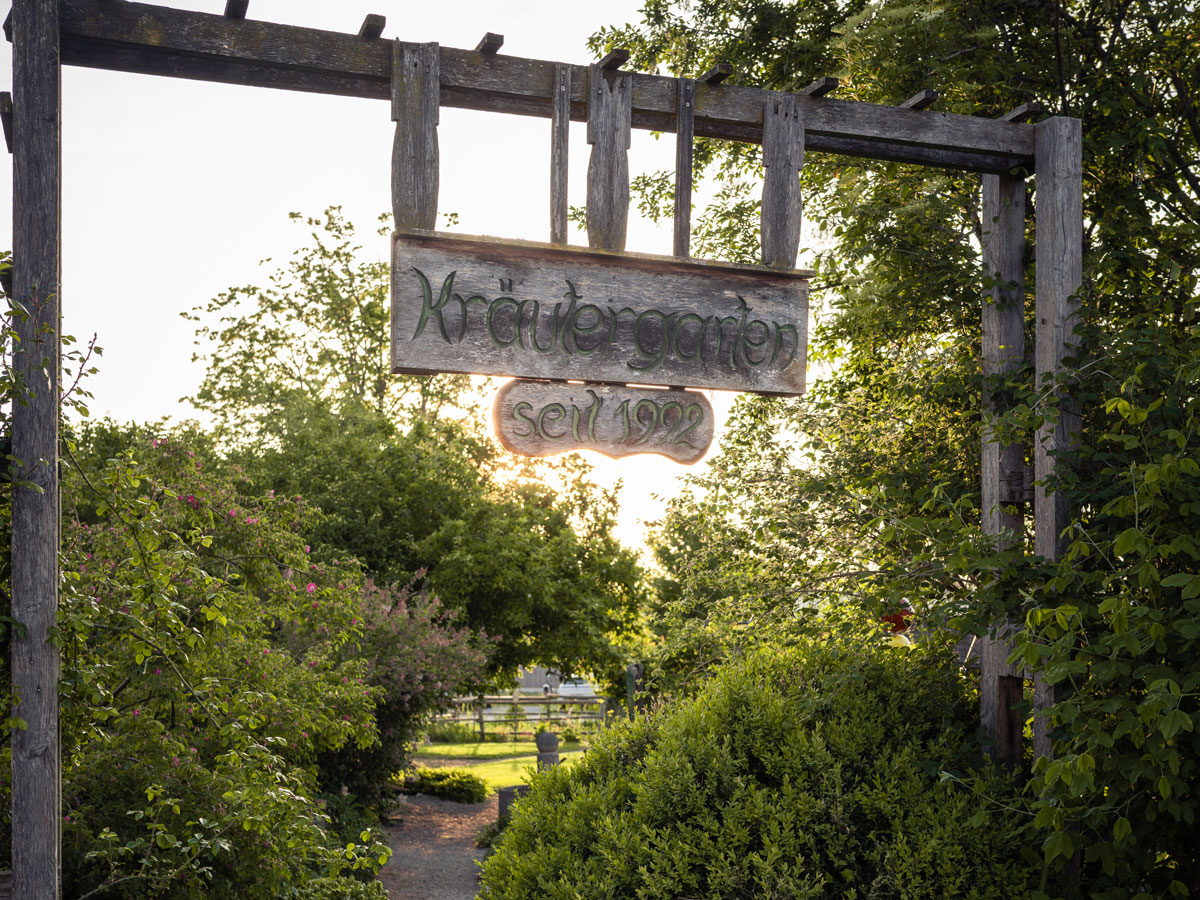 TVA_Antheringer_Kraeutergarten_4