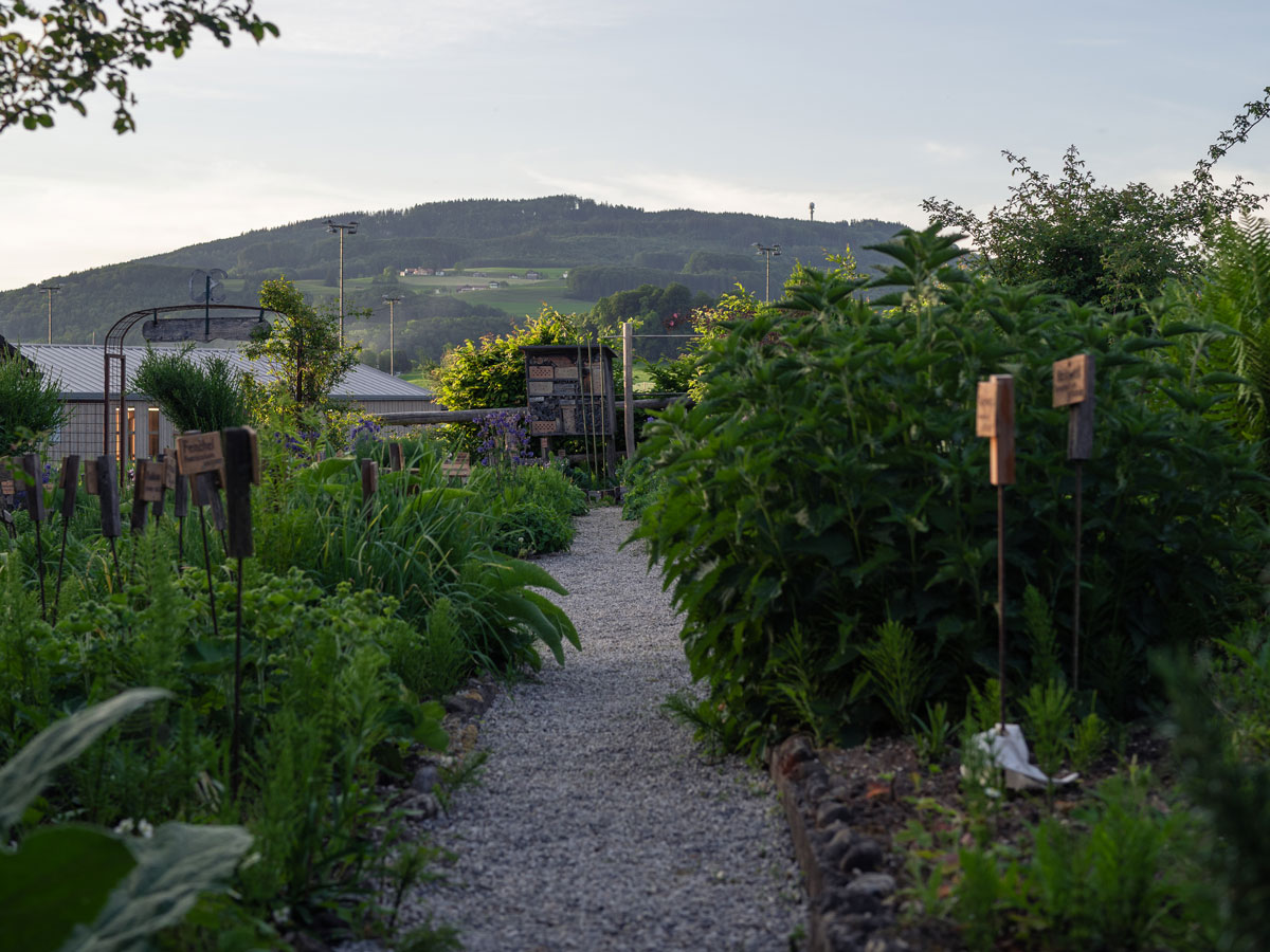 TVA_Antheringer_Kraeutergarten_5