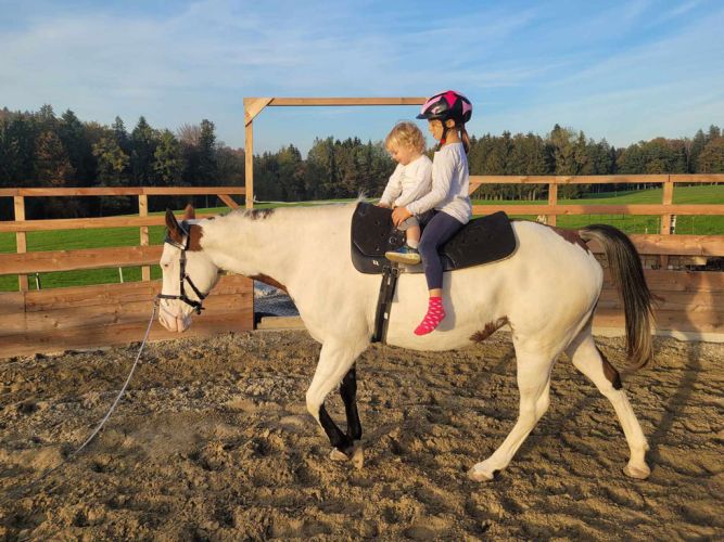 Tiergestützte Angebote