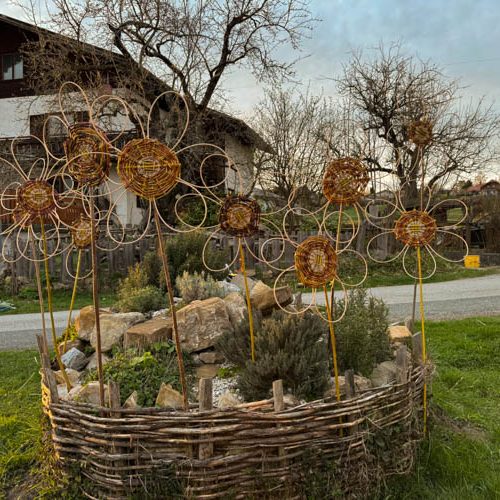 weidenblumen-anthering-1-500x500