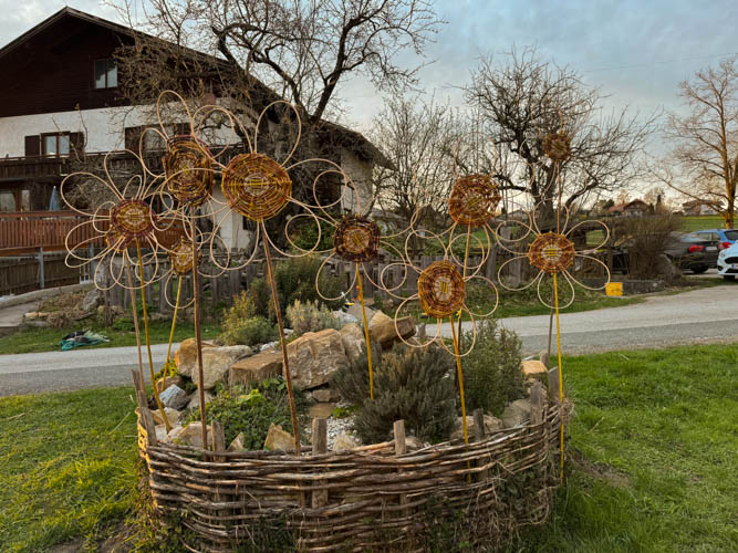 weidenblumen-anthering-1